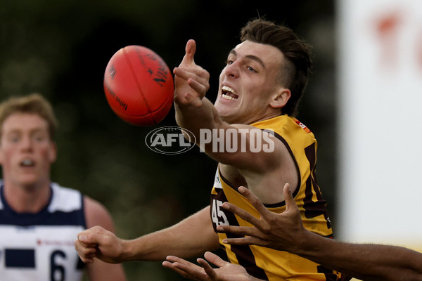 VFL 2022 Round 21 - Box Hill v Geelong - 990646