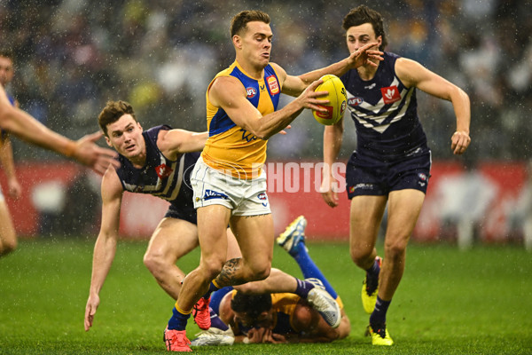 AFL 2022 Round 22 - Fremantle v West Coast - 991432