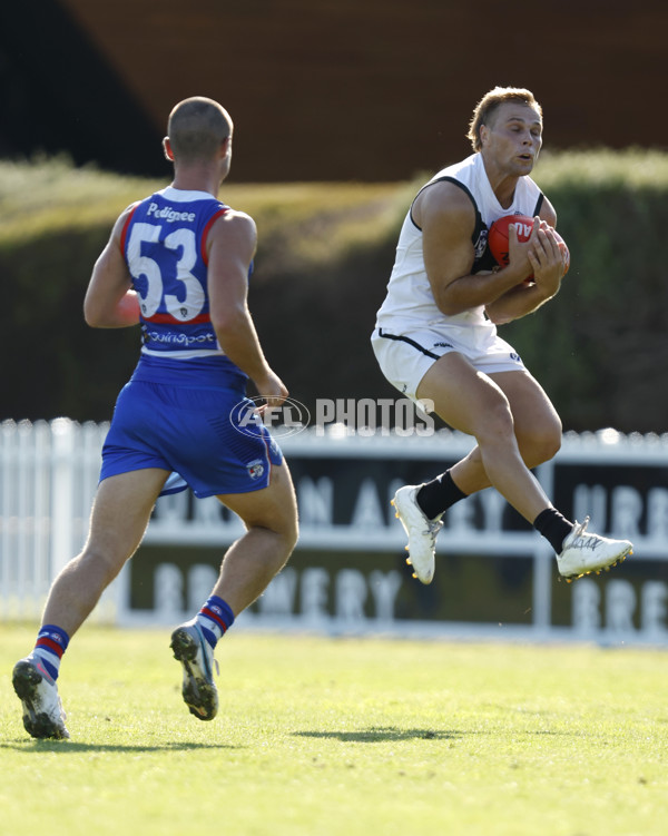 VFL 2023 Round 05 - Footscray v Southport - A-23643716