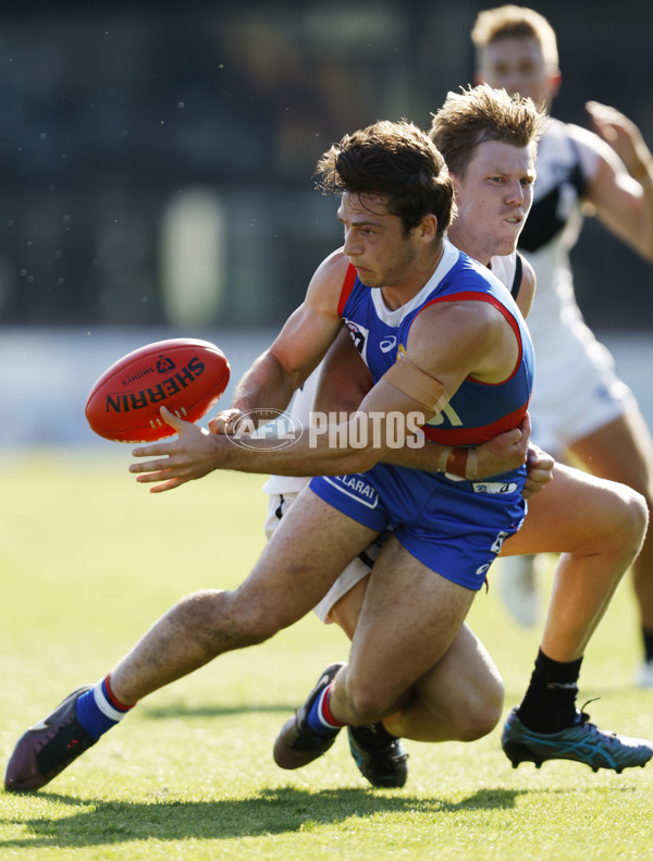 VFL 2023 Round 05 - Footscray v Southport - A-23644513