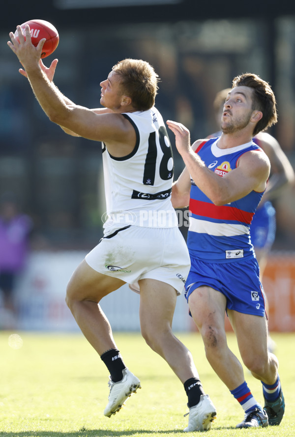 VFL 2023 Round 05 - Footscray v Southport - A-23644581