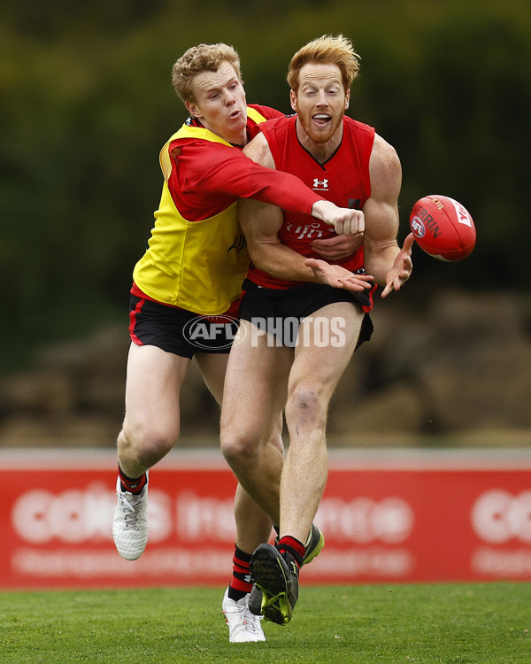 AFL 2022 Training - Essendon 180822 - 994439