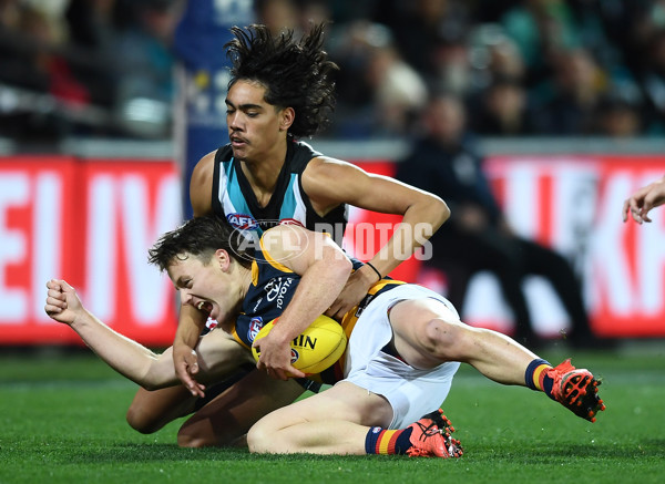 AFL 2022 Round 23 - Port Adelaide v Adelaide - 995938