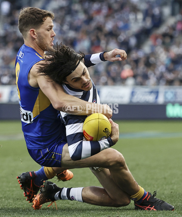 AFL 2022 Round 23 - Geelong v West Coast - 996199