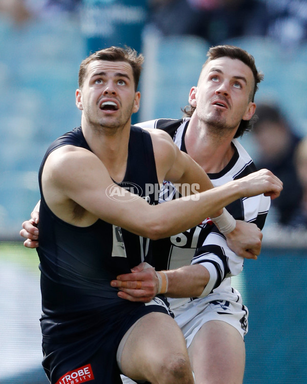 VFL 2022 Round 22 - Carlton v Collingwood - 996424