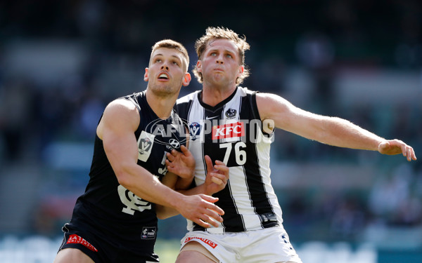 VFL 2022 Round 22 - Carlton v Collingwood - 996460