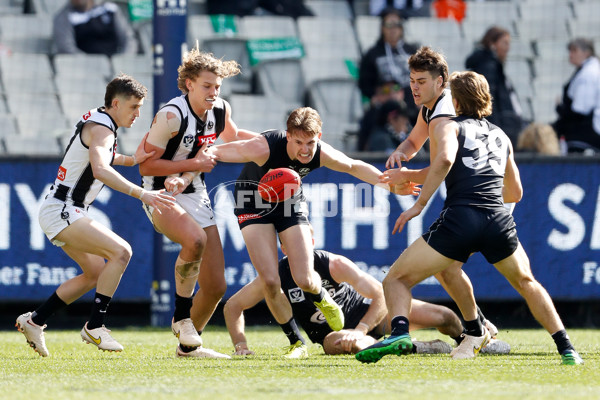 VFL 2022 Round 22 - Carlton v Collingwood - 996465