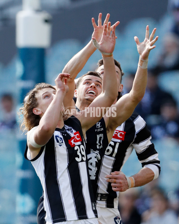 VFL 2022 Round 22 - Carlton v Collingwood - 996428