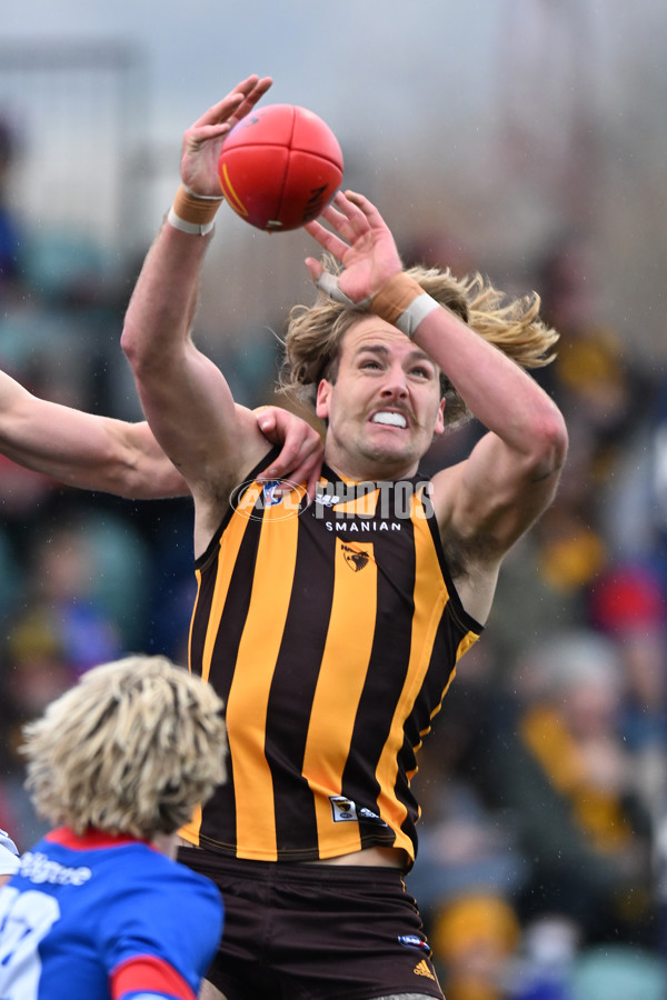 AFL 2022 Round 23 - Hawthorn v Western Bulldogs - 996433