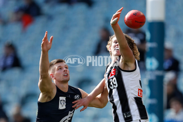 VFL 2022 Round 22 - Carlton v Collingwood - 996429