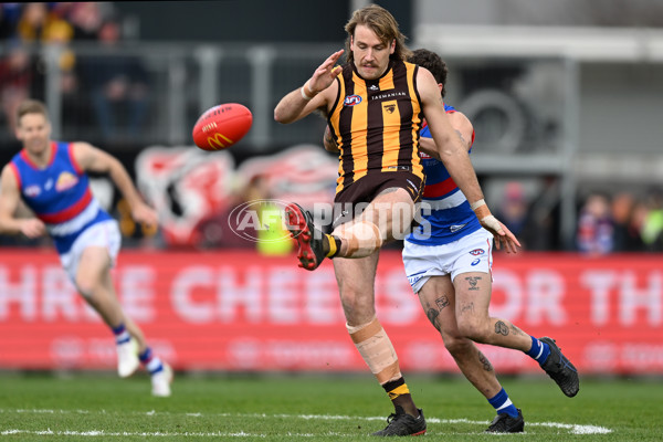 AFL 2022 Round 23 - Hawthorn v Western Bulldogs - 996525