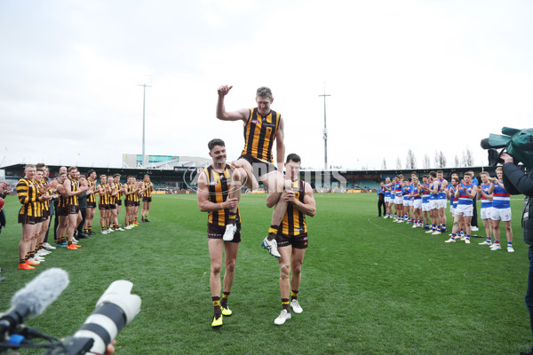 AFL 2022 Round 23 - Hawthorn v Western Bulldogs - 996701