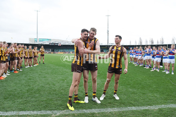 AFL 2022 Round 23 - Hawthorn v Western Bulldogs - 996735