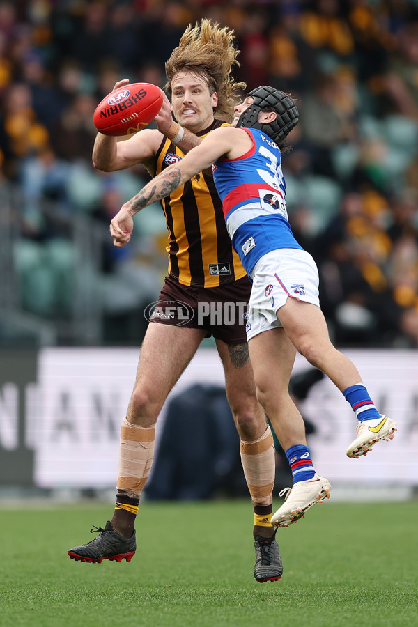 AFL 2022 Round 23 - Hawthorn v Western Bulldogs - 996993