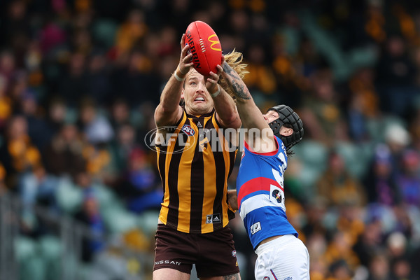 AFL 2022 Round 23 - Hawthorn v Western Bulldogs - 996995