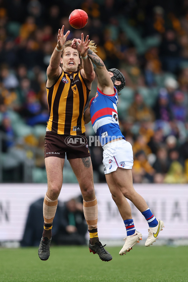 AFL 2022 Round 23 - Hawthorn v Western Bulldogs - 996992