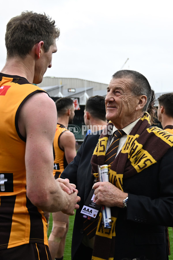 AFL 2022 Round 23 - Hawthorn v Western Bulldogs - 997246