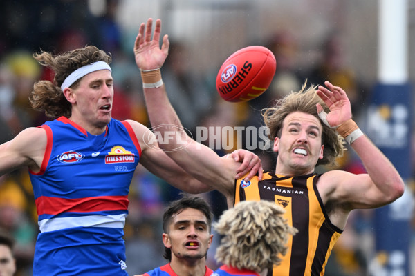 AFL 2022 Round 23 - Hawthorn v Western Bulldogs - 997270