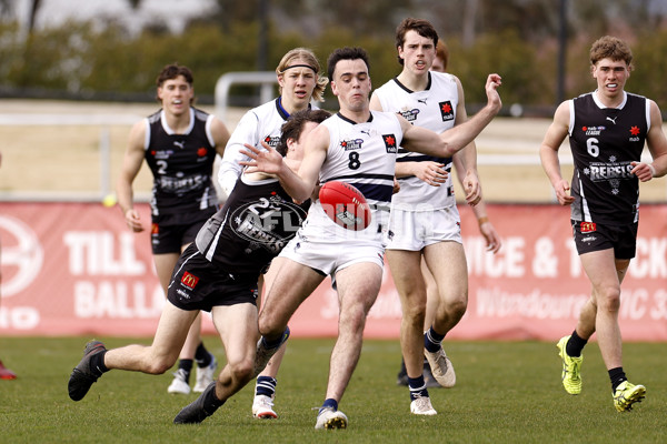 NAB League Boys 2022 - GWV v Northern Knights - 998225