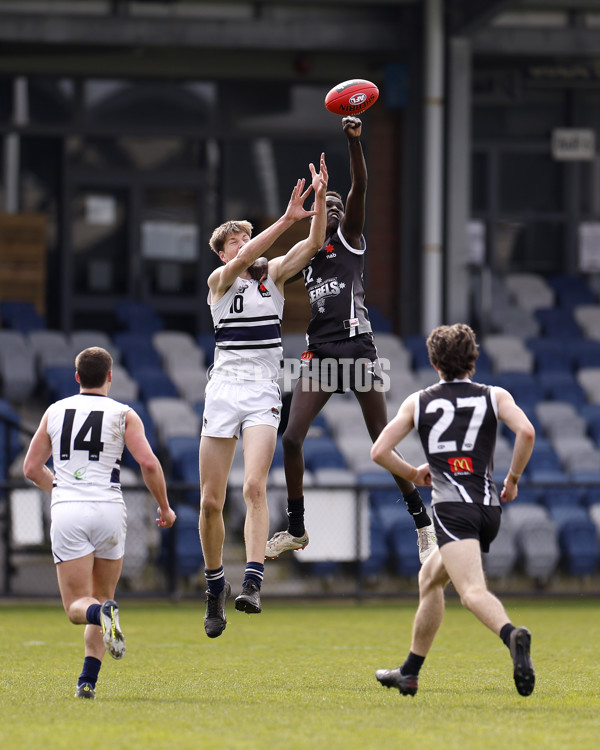 NAB League Boys 2022 - GWV v Northern Knights - 998198