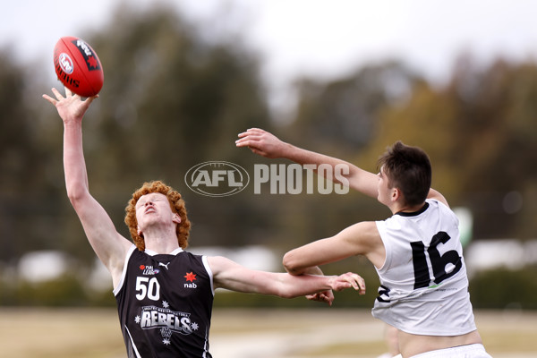 NAB League Boys 2022 - GWV v Northern Knights - 998212