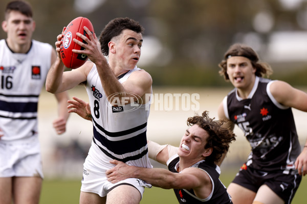 NAB League Boys 2022 - GWV v Northern Knights - 998226