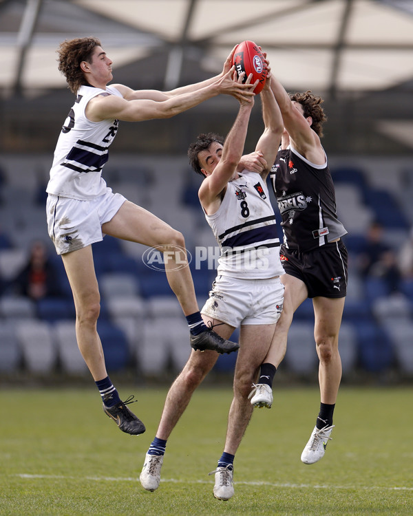 NAB League Boys 2022 - GWV v Northern Knights - 998264