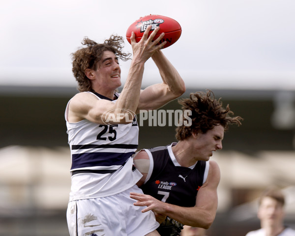 NAB League Boys 2022 - GWV v Northern Knights - 998291