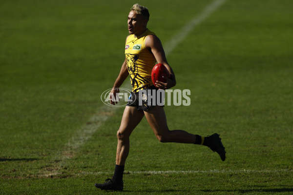 AFL 2022 Training - Richmond 270822 - 998335