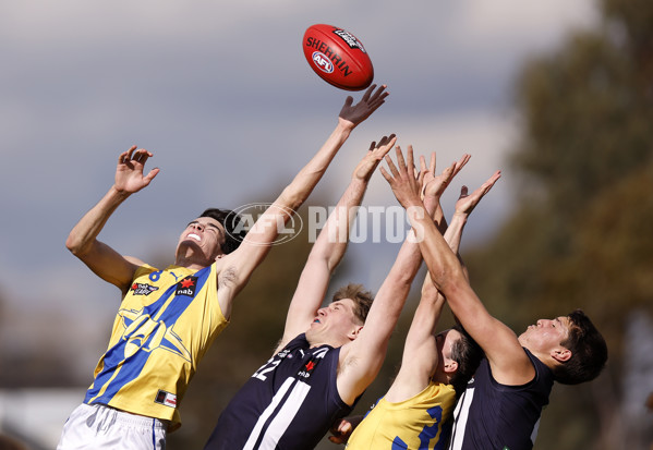 NAB League Boys 2022 - Geelong v Western Jets - 998433