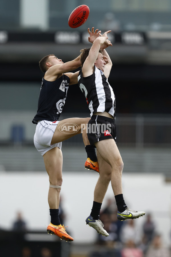 VFL 2022 Elimination Final - Collingwood v Carlton - 999126