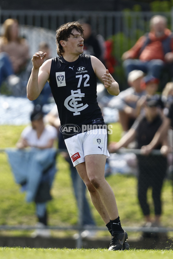 VFL 2022 Elimination Final - Collingwood v Carlton - 999138