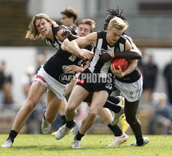 VFL 2022 Elimination Final - Collingwood v Carlton - 999136