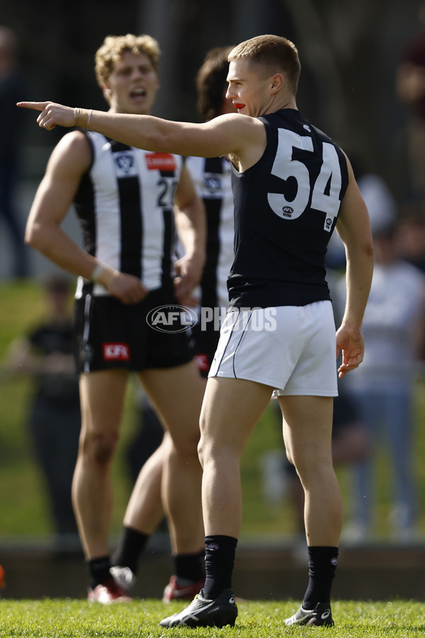 VFL 2022 Elimination Final - Collingwood v Carlton - 999133