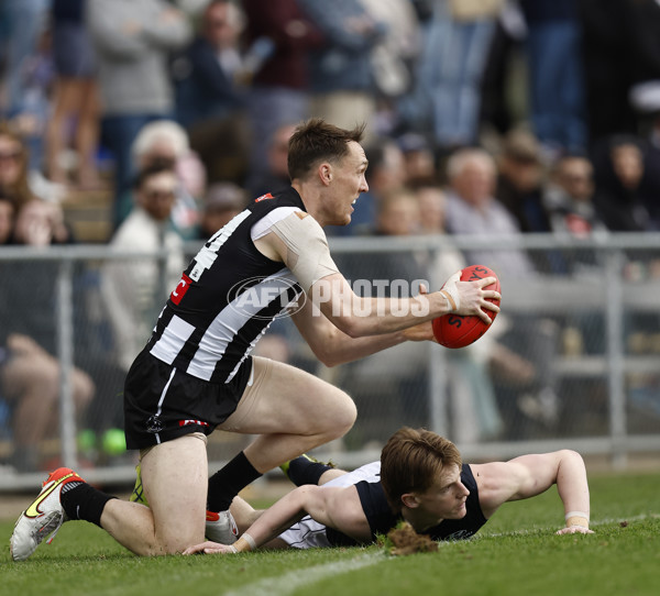 VFL 2022 Elimination Final - Collingwood v Carlton - 999129