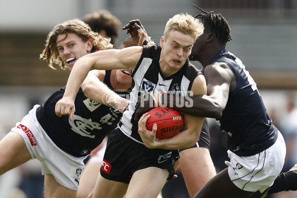 VFL 2022 Elimination Final - Collingwood v Carlton - 999137