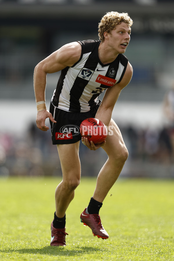 VFL 2022 Elimination Final - Collingwood v Carlton - 999166