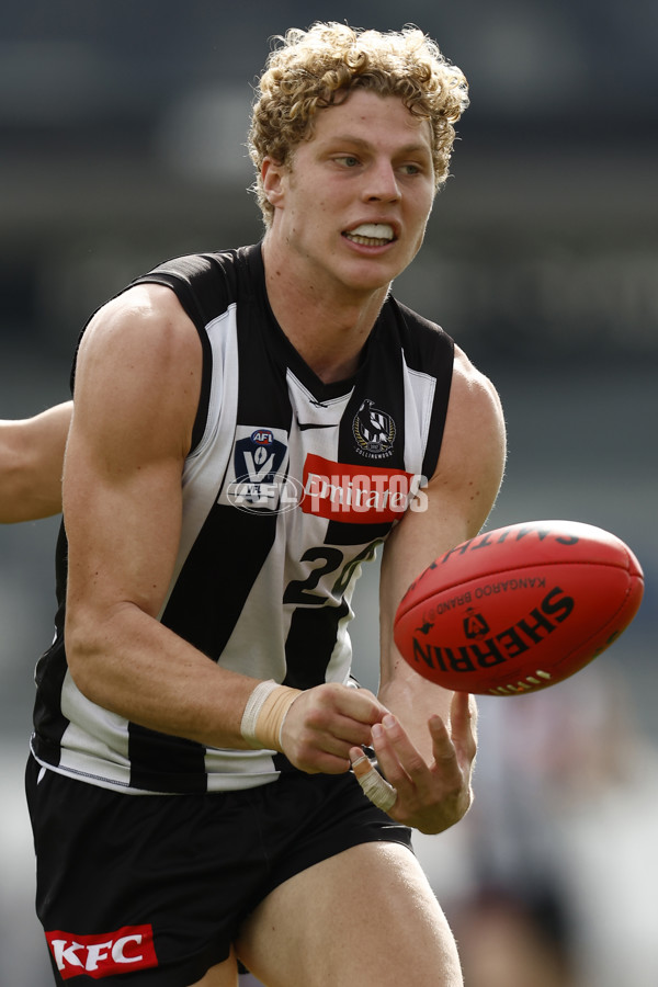 VFL 2022 Elimination Final - Collingwood v Carlton - 999165