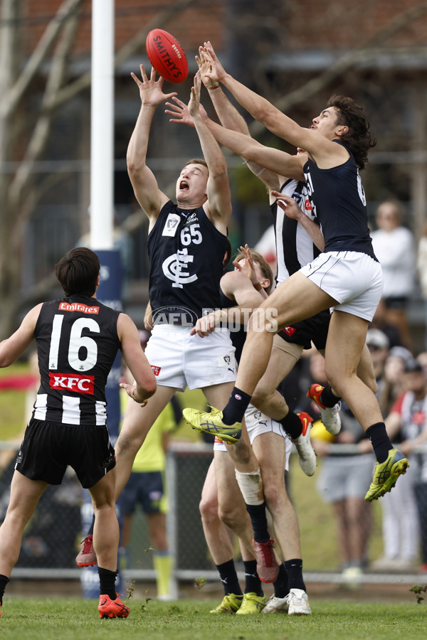 VFL 2022 Elimination Final - Collingwood v Carlton - 999217