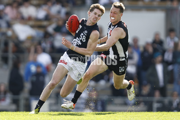 VFL 2022 Elimination Final - Collingwood v Carlton - 999248