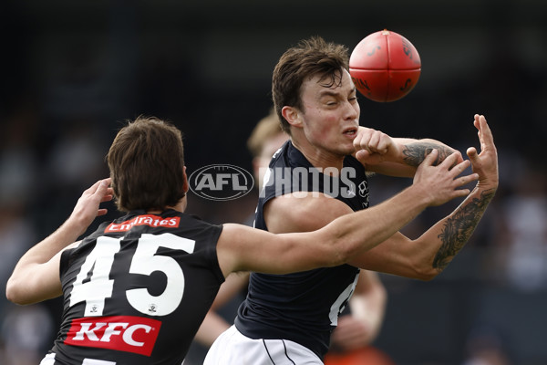 VFL 2022 Elimination Final - Collingwood v Carlton - 999209