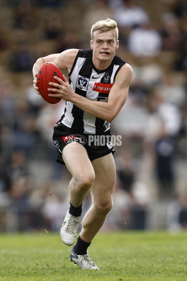 VFL 2022 Elimination Final - Collingwood v Carlton - 999224