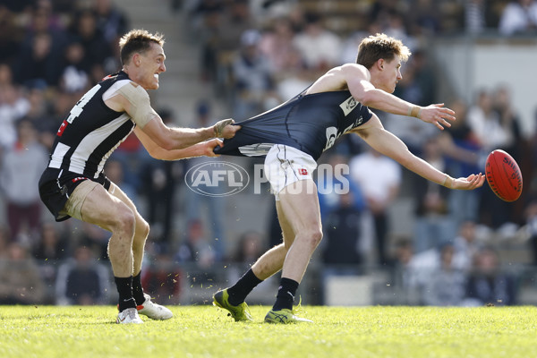 VFL 2022 Elimination Final - Collingwood v Carlton - 999246