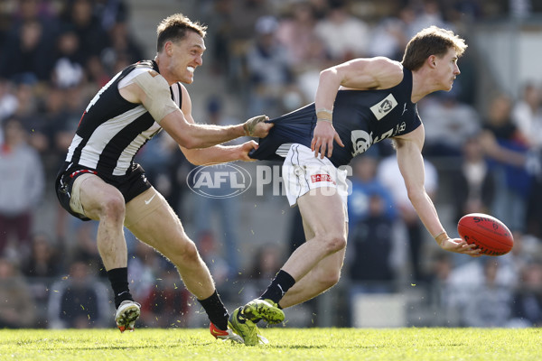 VFL 2022 Elimination Final - Collingwood v Carlton - 999247