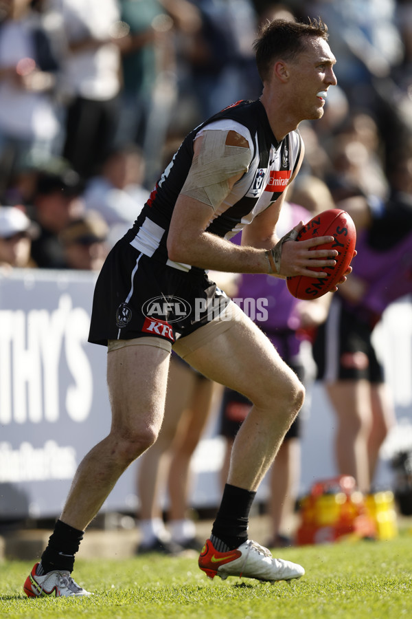 VFL 2022 Elimination Final - Collingwood v Carlton - 999296