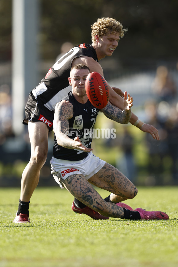 VFL 2022 Elimination Final - Collingwood v Carlton - 999275