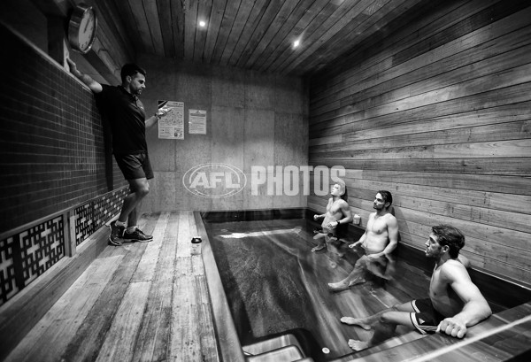 AFL 2015 Media - Alex Aurrichio Gym Session - 356837