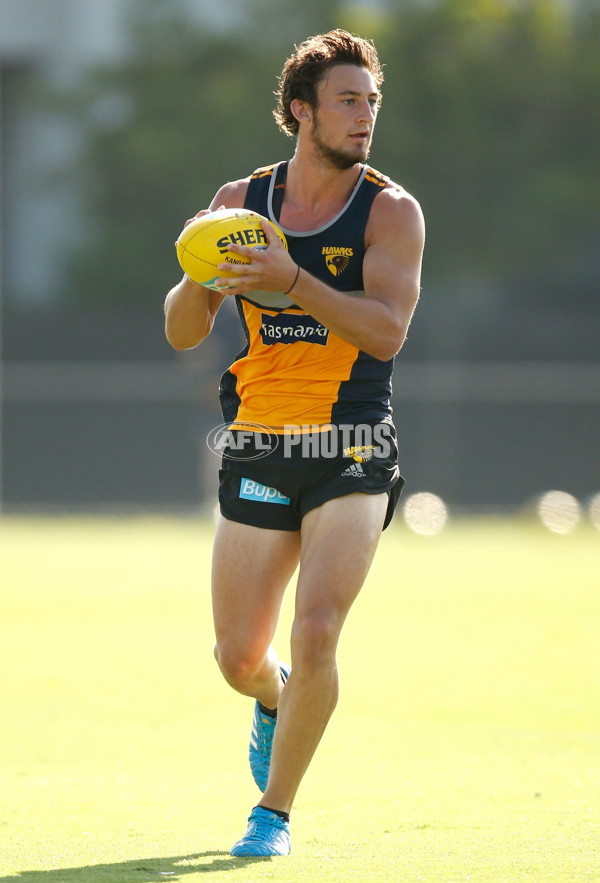 AFL 2015 Training - Hawthorn 230115 - 357710
