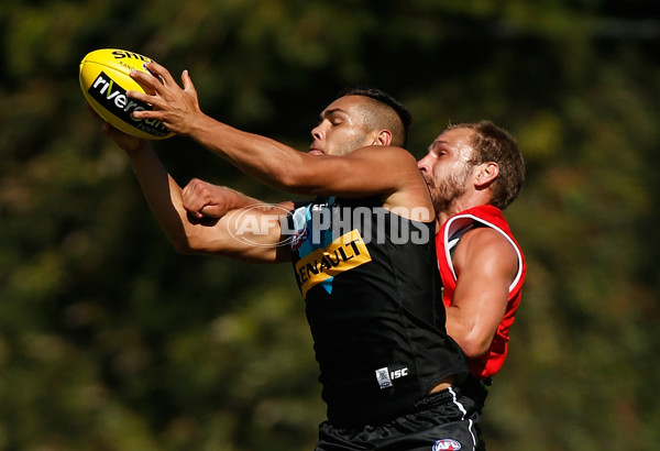 AFL 2015 Training - Port Adelaide 270115 - 357982