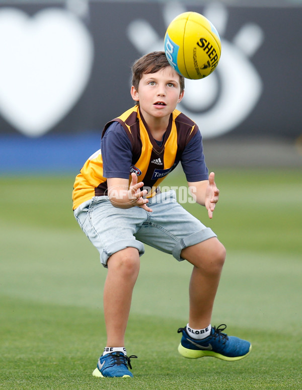 AFL 2015 NAB Challenge - Hawthorn v Collingwood - 360193